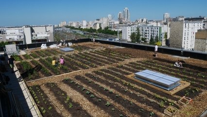 A Paris, des potagers ont été installés sur les toits de la Poste