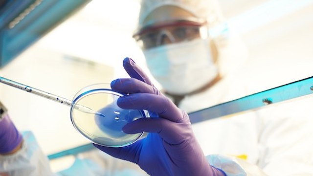 Améliorer génétiquement les bébés n'est pas un problème pour la plupart des Américains