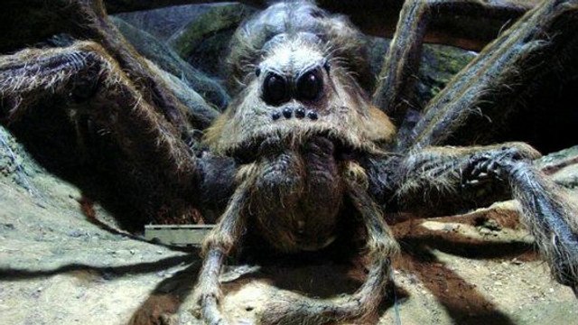 Vous avez peur des araignées ? Ne regardez ce remake sous aucun prétexte