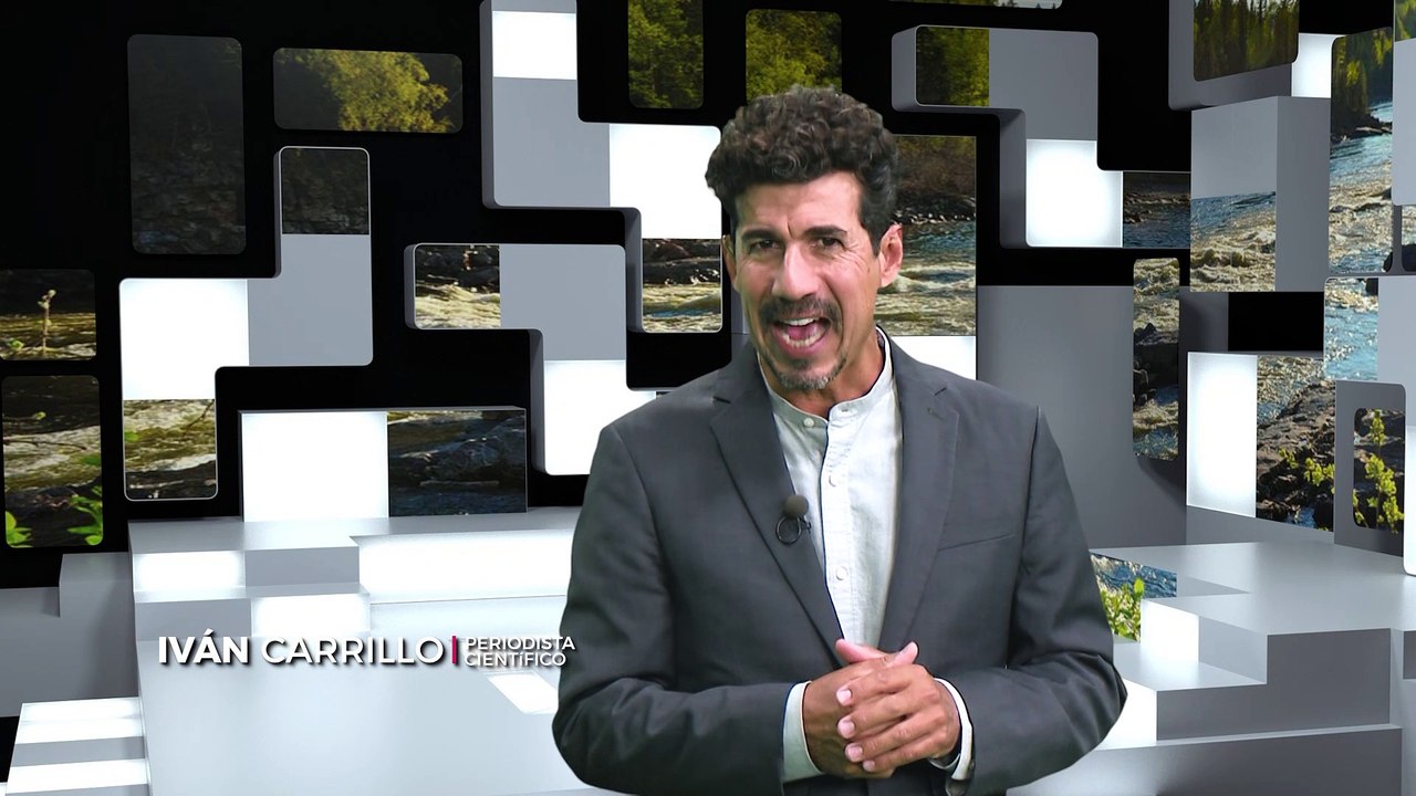 Reporte Climático 32 | Economía circular vs cam...