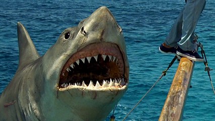 Un meurtre vieux de 44 ans bientôt élucidé grâce au film "Les Dents de la mer" ?