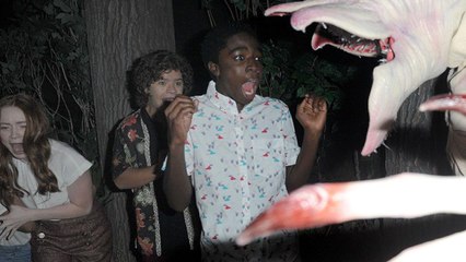Les acteurs de Stranger Things apeurés dans le parc d'attraction dédié à la série