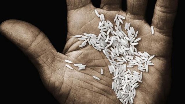 LOUDER - Sur Terre, on croule sous la nourriture et pourtant, la famine touche des millions de personnes. Pourquoi ?