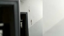 VIDEO - Marseille : un habitant a filmé l'intérieur de l'immeuble de la rue d'Aubagne, 15 minutes avant l'effondrement