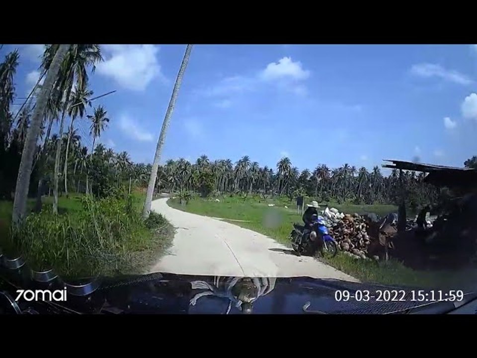 Snake Removed Via Windshield Wiper