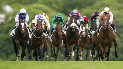 Video herunterladen: Pronostics Quinté du 5 février 2019 : Les favoris de la course de demain