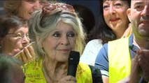 Gilets jaunes : Brigitte Bardot rend visite aux manifestants