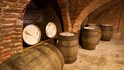 Les vins de voile, qu’est-ce que c’est exactement ?