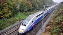 Un passager cagoulé provoque la panique dans un TGV Paris - Brest