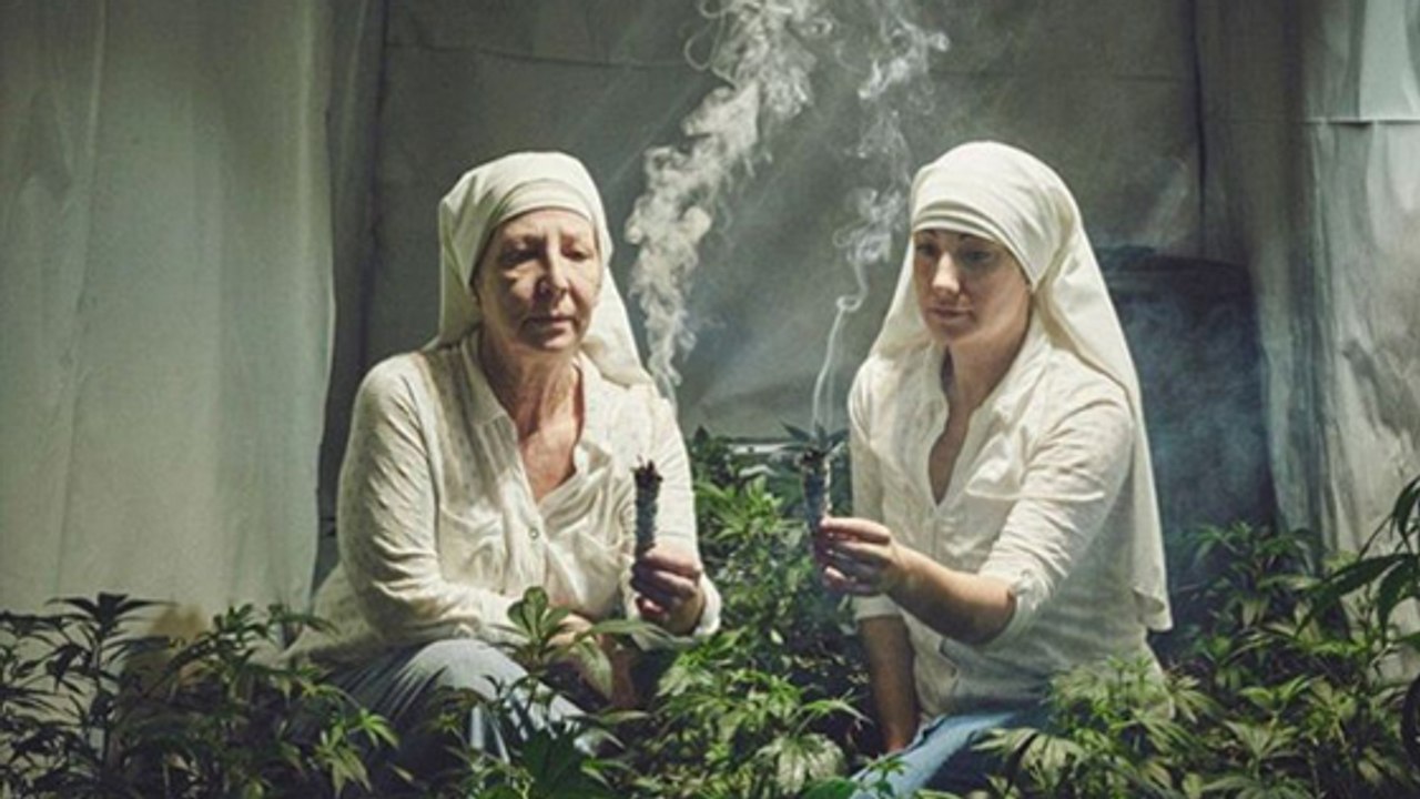 Insolite : des bonnes soeurs deviennent riches en cultivant de la marijuana !