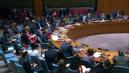 Hitzige UN-Debatte um Biowaffen: "Was kommt als nächstes? Ammoniak? Phosphor?"