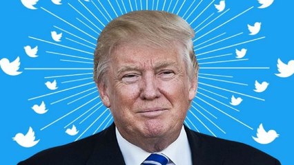 Twitter : la folle décision de justice qui bloque Trump sur le réseau social