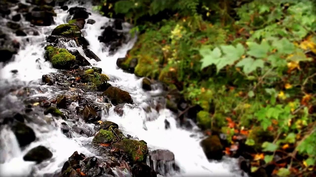 Ambient Water