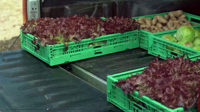 Les 5 meilleurs sites pour vous faire livrer des fruits et légumes frais de saison