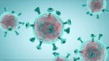 Coronavirus : quand la France refusait une solution pour effectuer 150 000 à 300 000 tests par semaine