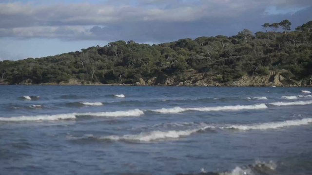 Confinement : deux hommes se déguisent en bouée pour se baigner malgré l'interdiction