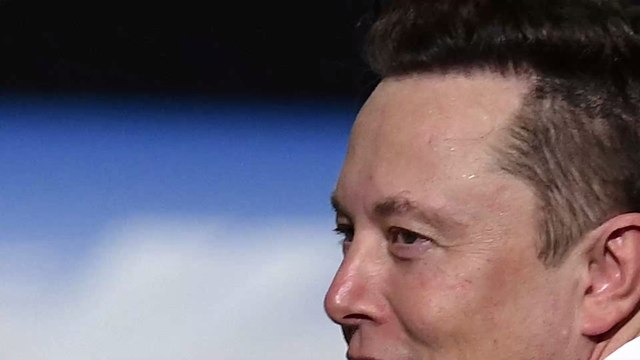 Tesla : un Belge évite un sanglier en pleine nuit grâce au mode autopilot, Elon Musk réagit sur les réseaux sociaux