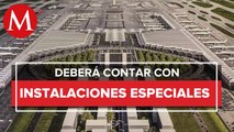 Declaran al aeropuerto en Santa Lucía como lugar destinado al tránsito internacional