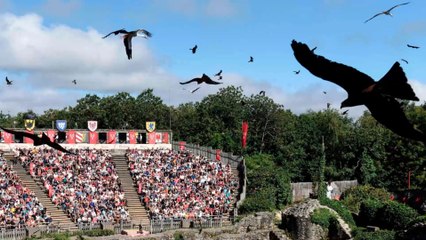 Coronavirus : le Puy du Fou va accueillir 9000 personnes, les élus et les internautes s'indignent