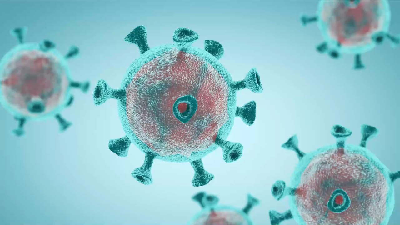 Inde : En raison du coronavirus, ces étudiants reçoivent leur diplôme à travers... des avatars en 3D