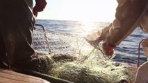 Découverte : des pêcheurs font une trouvaille macabre dans un bateau abandonné en pleine mer