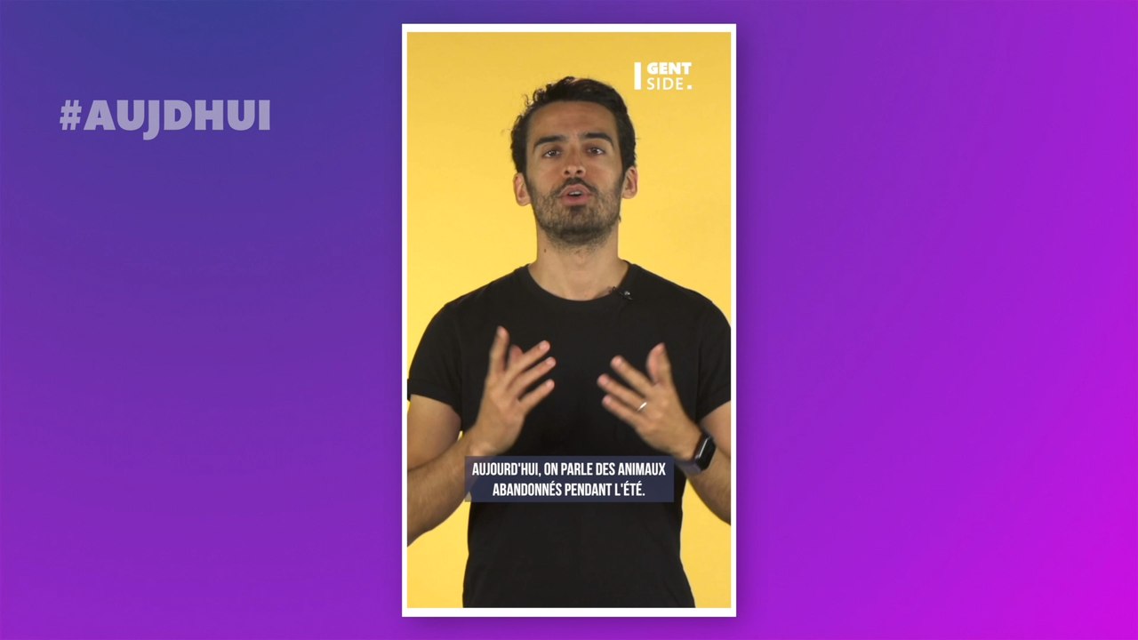 Abandon d'animaux : un député propose une mesure pour lutter contre l'abandon des animaux