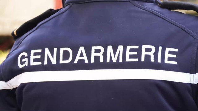 Seat Leon Cupra : le nouveau bolide de la gendarmerie pour traquer les chauffards et les go-fast