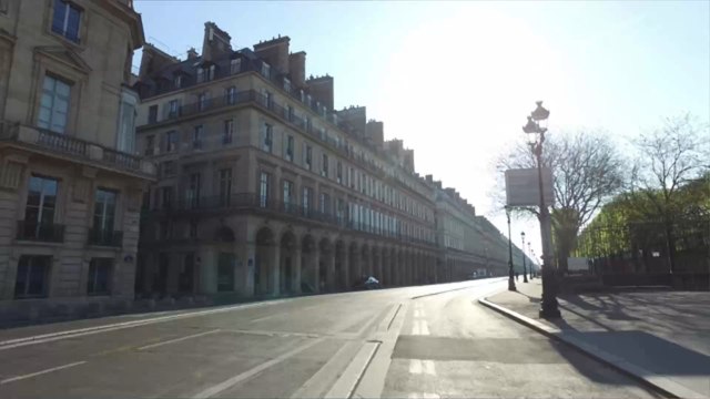 Avec le confinement, la nature reprend ses droits : deux daims aperçus dans les rues en banlieue parisienne