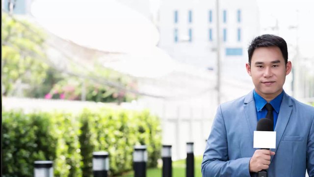 Australie : un journaliste attaqué par une pie en plein duplex