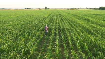 Première guerre mondiale : un message militaire de 1910 retrouvé par hasard en Alsace
