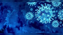 Coronavirus : pourquoi le taux de mortalité est-il si différent selon les pays ?