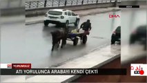 Atı yorulunca arabayı kendisi çekti!