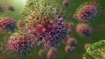 Coronavirus : dans ce restaurant, les clients ont dû payer un supplément "mesures anti Covid-19"