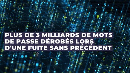 Cybercriminalité : plus de 3 milliards de mots de passe dérobés lors d'une fuite sans précédent