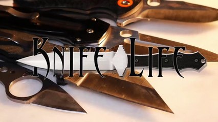 What is Martial Blade Concepts  -  With Mike Janich