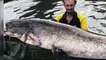 France : un homme pêche un poisson de 2,43m pesant 90 kilos dans la Seine