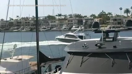 Arrestan hombre de San Diego bajo sospecha de robar un yate y estrellarse contra embarcaciones