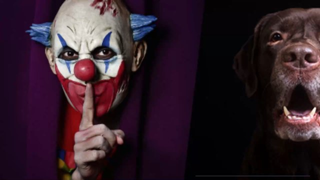 Illusion d’optique : Voyez-vous un chien ou un clown maléfique ?