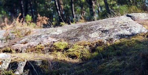 Unauthorized Living Season 2 Episode 6 – Intense Family Drama Unfolds