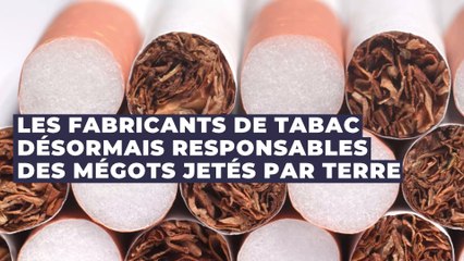Cigarette : les fabricants de tabac responsables des mégots jetés par terre