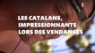"J'ai un Thermomix dans les pieds", les Catalans champions des vendanges de Pékin Express