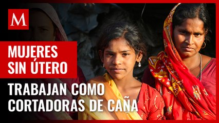Mujeres extirpan su útero para trabajar en cosecha de caña de azúcar en la India; esta es la razón
