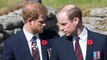 Hommage à Lady Diana : rien ne se passe comme prévu, Harry et William dans la tourmente