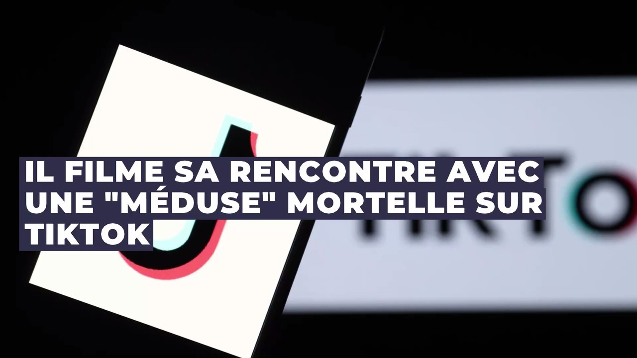 TikTok : il lèche une "méduse bleue", une espèce extrêmement dangereuse