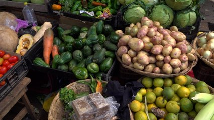 Entregan a comerciantes del Mercado Candelaria centro de acopio