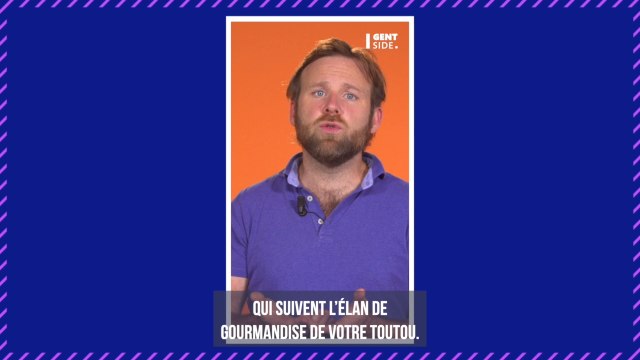 Maltraitance animale : deux chiens traînés par une voiture sur des centaines de mètres