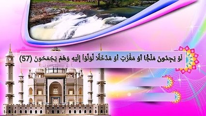 Islamiyat channel Muhammad Hamdan presents Sheikh Suleiman Al-Husna in humble recitation of verses from Surat Al-Tawbah and Fatir