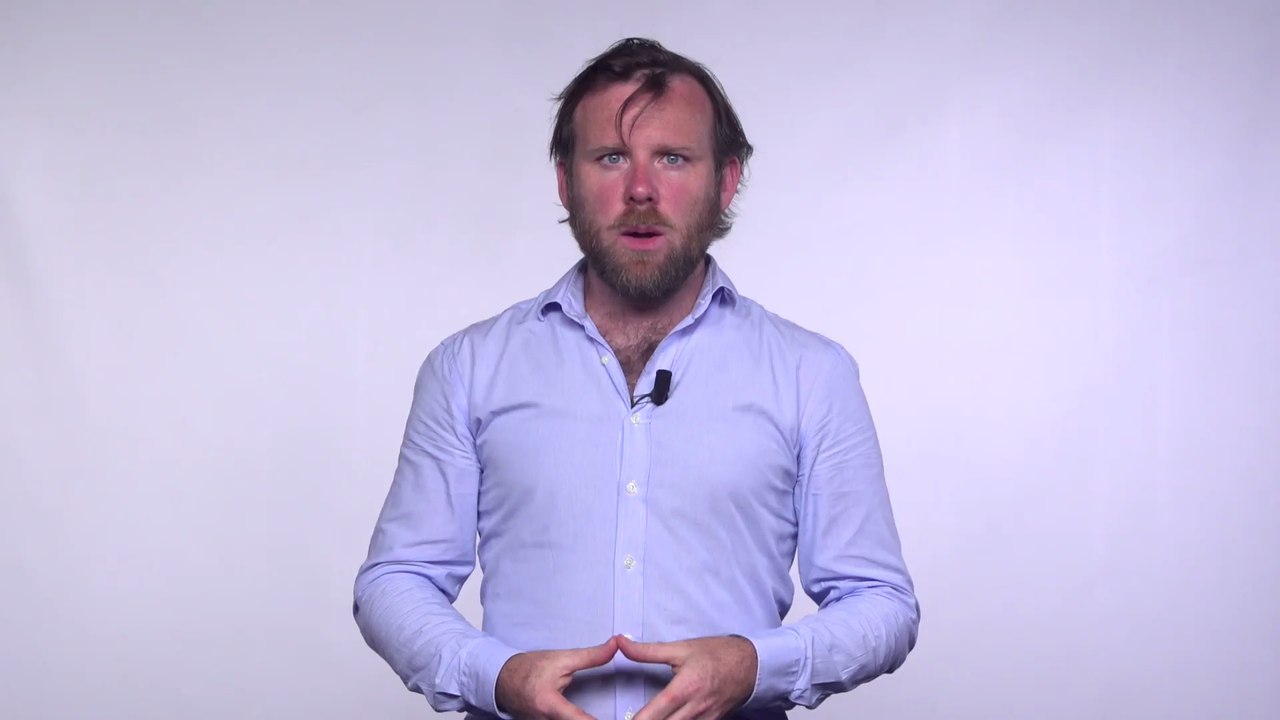 États-Unis : un chat chute des gradins et se fait rattraper in extremis par des supporters