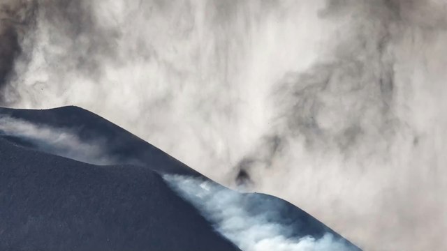 Canaries : pris au piège par la lave, des chiens se volatilisent mystérieusement