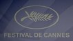 Festival de Cannes : Sean Penn tacle les antivaccins